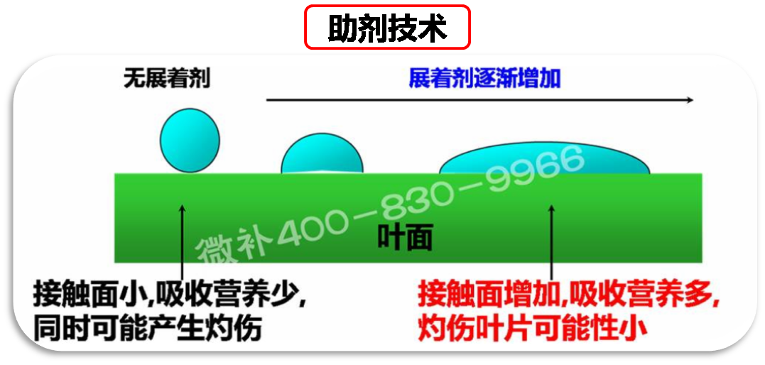 余教授德國鄉(xiāng)村行：我在德國為什么不會(huì)點(diǎn)啤酒了？