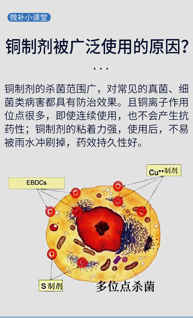 微補9966有機銅_04.jpg