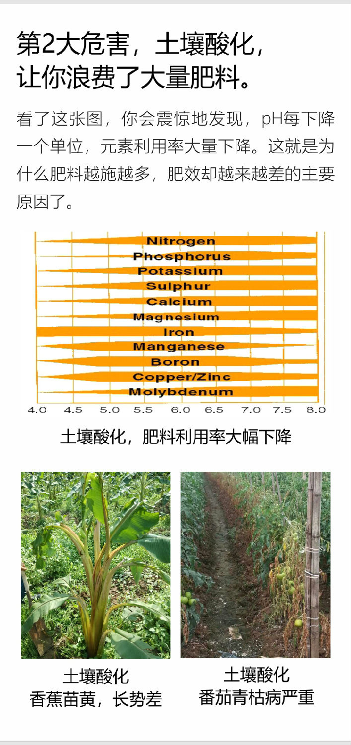 微補調力手機_06.jpg